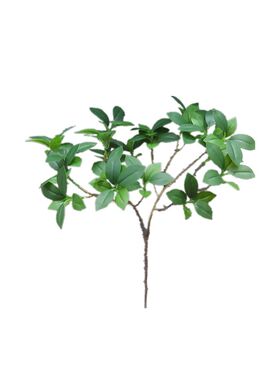 榕树叶布景花瓶摆放仿真绿植