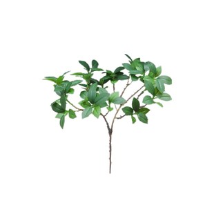 仿真绿植新款单支手感长杆冬青叶 榕树叶布景装饰假树叶花瓶 摆放
