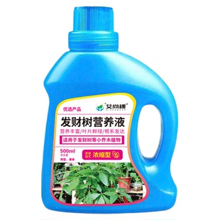 发财树复活液促生根猛发芽生根药水发财树黄叶枯叶烂根专用药