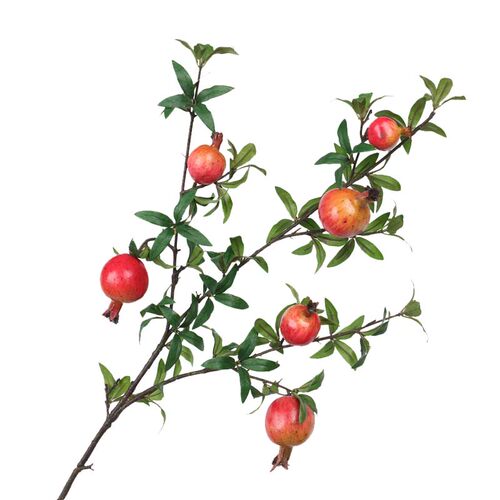 石榴干花仿真花石榴果树枝装饰花艺花束摆设客厅假花高枝娟花摆件