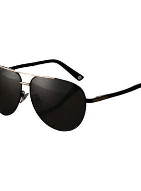 洛伊士偏光开车骑行太阳镜