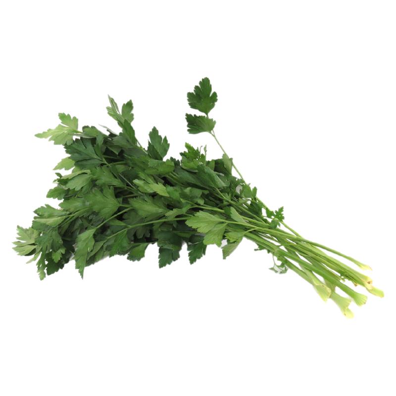 【沁蕊】新鲜意大利芹欧芹