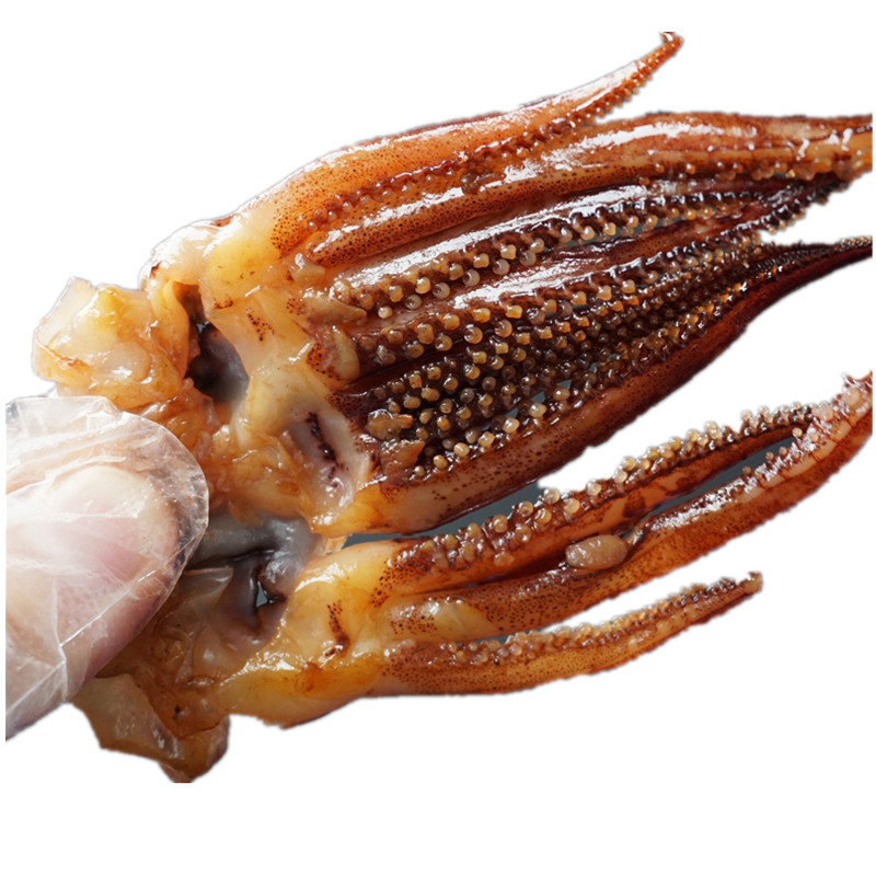 现烤鱿鱼头铁板鱿鱼须干鱿鱼爪无添加孕妇零食营养即食海鲜特产