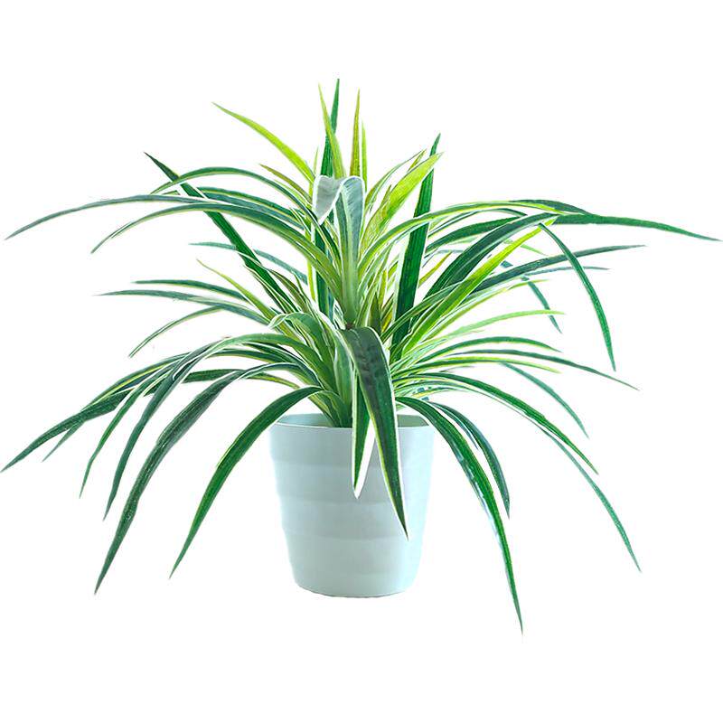 仿真绿植盆栽植物吊兰假花草摆件