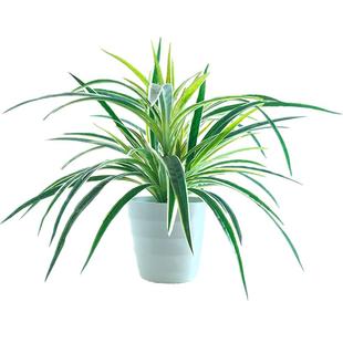 仿真绿植盆栽仿生植物吊兰盆景塑料假花仿真花客厅摆件轻奢装饰品