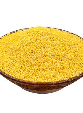 农家敖汉黄小米500g内蒙小米杂粮粟米小米粥当季新米颗粒饱满