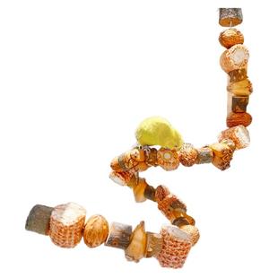 鹦鹉玩具小太阳天然解闷自嗨啃咬逗鸟架玄凤虎皮专用磨牙鸟笼站杆