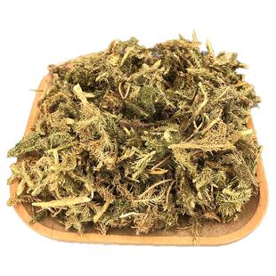 广西野生伸筋草中药材正品泡脚筋骨草立筋草舒筋草铺筋草抽筋草