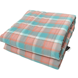 白菜价清仓处理！超柔软100%纯棉水洗棉夏被单人双人春秋被冬被芯