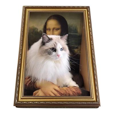 源头厂家防水抓不烂原创设计