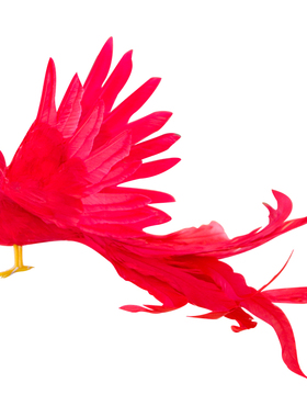 仿真彩色长尾羽毛鸟摄影装饰摆件