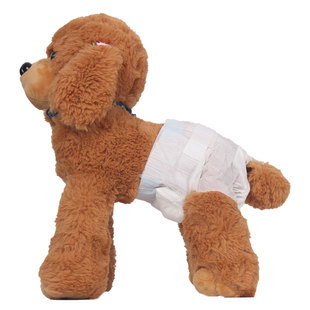 宠物狗狗生理裤衩小公狗专用纸尿裤泰迪尿不湿比熊男狗用的礼貌带