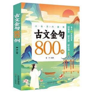 古文金句800例正版每天10分钟好词好句好段优美句子素材积累大全小学生语文写作方法技巧书籍小古文大道理让孩子轻松写出高分作文