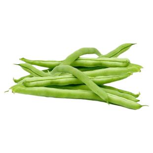 泰国架豆王 寿光蔬菜种子 泰国无筋架豆王种子长芸豆菜豆 四季豆