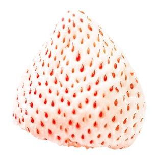 顺丰空运 淡雪白草莓新鲜高端送礼天使礼盒装送女友水果礼盒大甜