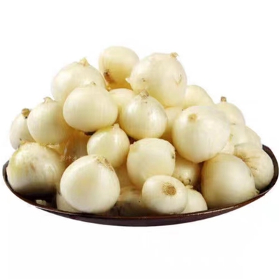 苦藠野葱新鲜团葱洋葱头苦茭小蒜