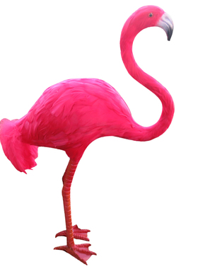 婚礼摄影道具微景观火烈鸟丹顶鹤