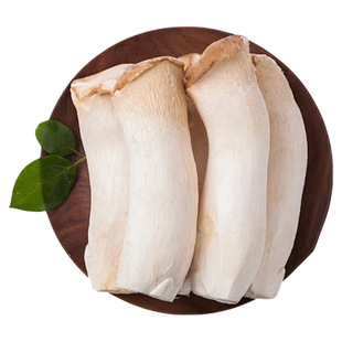 【有机蔬菜】新鲜大粒杏鲍菇鸡腿菇烧烤火锅食材蘸酱菜云南新鲜菜