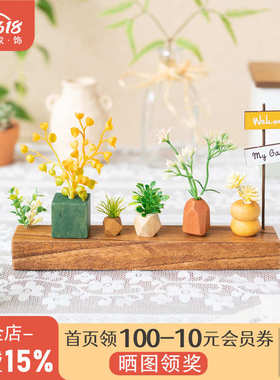 阿楹 客厅精致玄关小摆件微缩 办工桌植物书架洞洞板电视柜装饰花