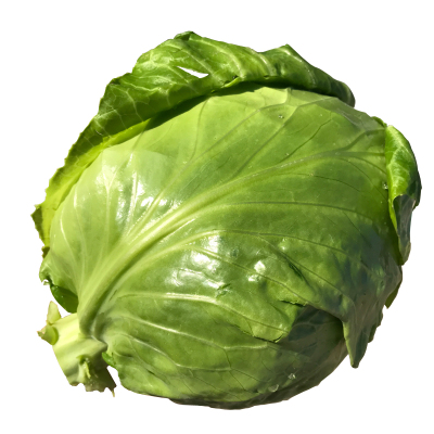 圆白菜新鲜蔬菜洋白菜包心菜甘蓝