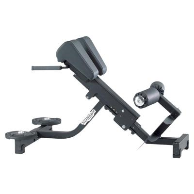 泰诺健背肌训练椅PG05进口