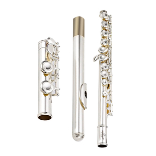 津宝16孔长笛乐器c调儿童笛子初学者教学考级专业表演奏镀银6238s