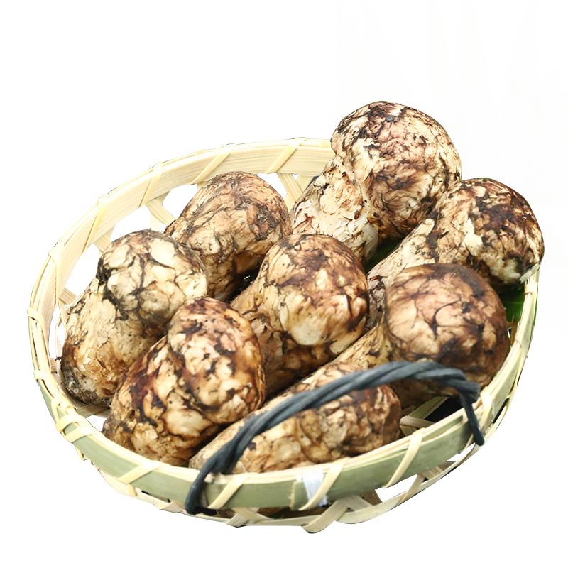 贡极5-7cm野生新鲜松茸顺丰冷链