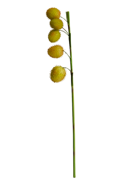 mexibor仿真果实绿植花艺灵感
