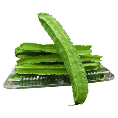 四棱豆种子春播四季蔬菜菜籽人参