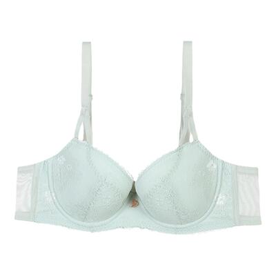 舒适蕾丝安莉芳文胸清新
