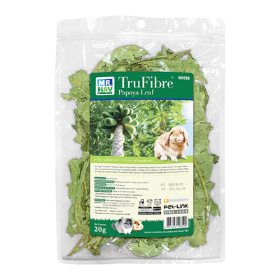 草先生木瓜消化调节肠道天竺鼠