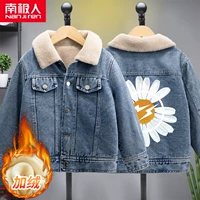 【1 кусок】 Denjean Blue Lightning Chrysanthemum