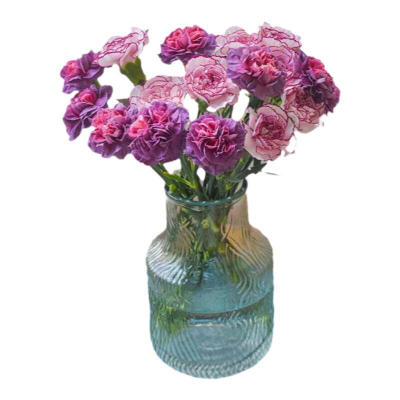 �ö�� AB�� ��ͷ����ܰ�ʻ� ���ϻ���ֱ�� ˳���ٵ� ĸ�׽�����    9.99Ԫ(����ȯ)