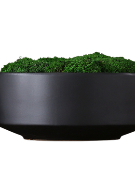 日式风植物茶桌摆件花盆创意装饰