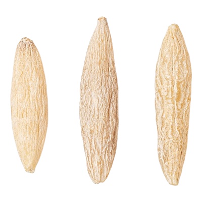 正品特级野生麦冬中药材500g