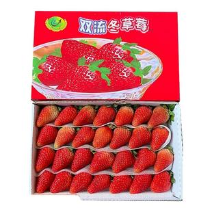 四季草莓新鲜水果烘焙蛋糕茶饮双流鲜草莓时令夏季酸草莓同城水果