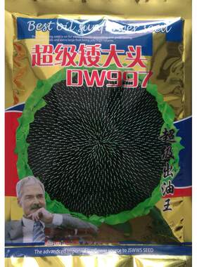 超矮大头dw997200g出油向日葵