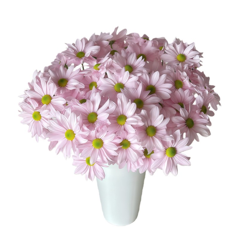 鲜花三文鱼小雏菊鲜花水养插花水养鲜花花期超长家庭办公室摆件
