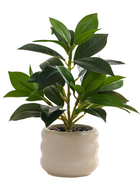 北欧风仿真植物盆景桌面拍摄道具