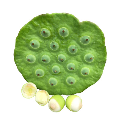 新鲜莲子米水果莲子新鲜莲蓬鲜莲子米生吃农家当天现摘蔬菜微山湖