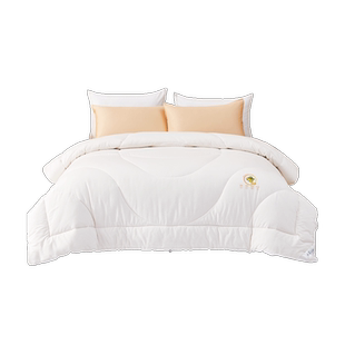 水星儿童被子被芯春秋/子母被四季通用秋冬宿舍保暖大豆被全棉A类