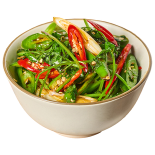 辣二婶江西特产腌香菜辣椒腌制蒜苗农家自制辣椒酱拌饭拌面下饭菜