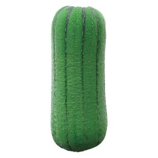 肉丝瓜种籽子四季种孑苗巨型丝瓜种子早熟高产盆栽菜春季水瓜