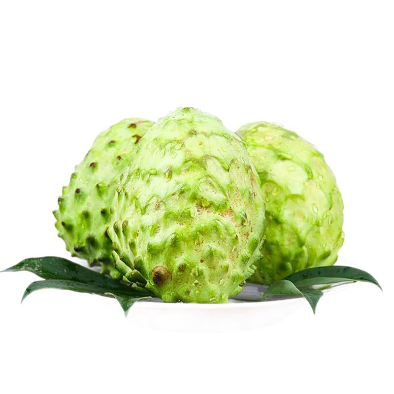 树上的牛奶冰淇淋释迦果