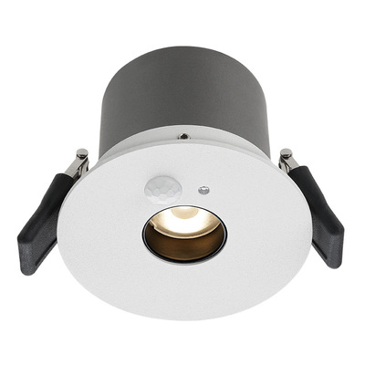 德国柏曼全光谱紫光护眼感应筒灯