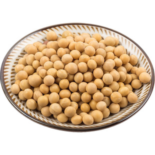 向南飞新东北黑龙江黄豆打豆浆可发生豆芽农家自种海伦大豆