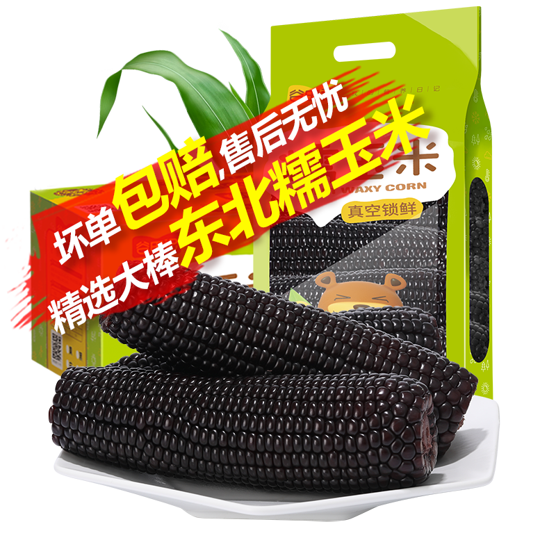 新鲜现摘黑糯玉米谷田记