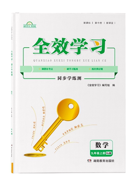 全效学习九年级湖南教育出版社