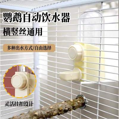 鹦鹉专用自动饮水器撞针水壶大容量玄凤牡丹喂水器横竖丝鸟笼通用