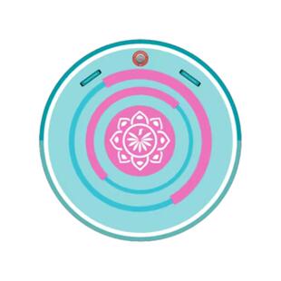 九凤王瑜伽圆盘瑜伽新手入门桨板充气桨板双层加厚八爪水上平台